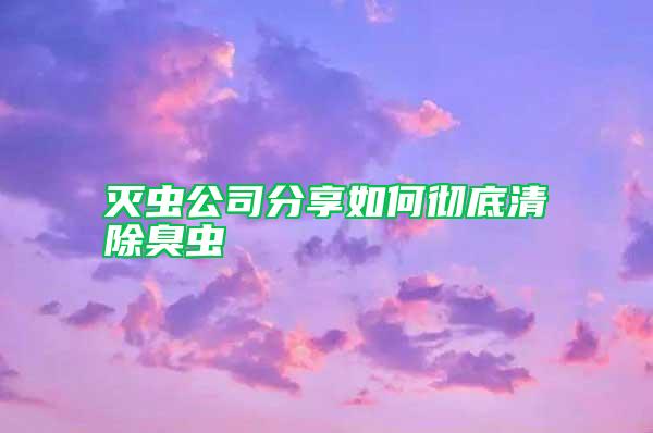 滅蟲(chóng)公司分享如何徹底清除臭蟲(chóng)