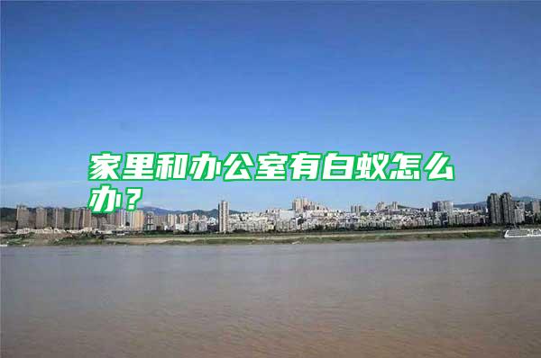 家里和辦公室有白蟻怎么辦？