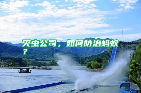 滅蟲公司，如何防治螞蟻？