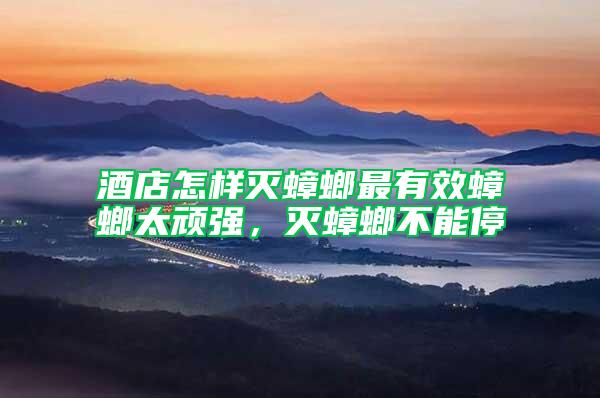 酒店怎樣滅蟑螂最有效蟑螂太頑強，滅蟑螂不能停