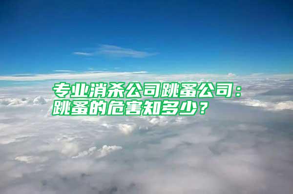 專業(yè)消殺公司跳蚤公司：跳蚤的危害知多少？