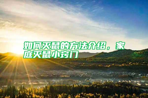 如何滅鼠的方法介紹，家庭滅鼠小竅門