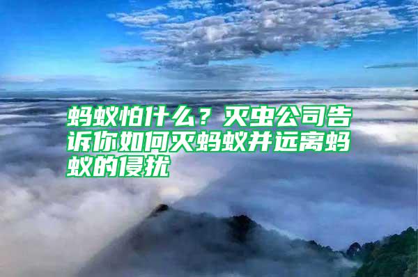 螞蟻怕什么？滅蟲(chóng)公司告訴你如何滅螞蟻并遠(yuǎn)離螞蟻的侵?jǐn)_