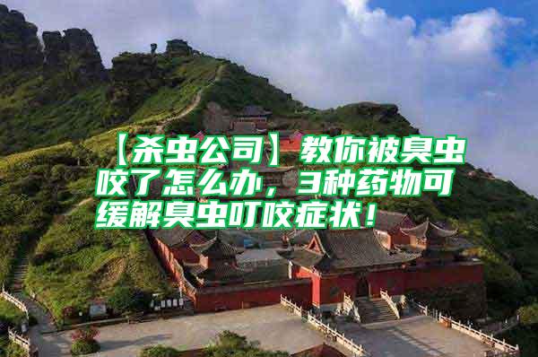 【殺蟲公司】教你被臭蟲咬了怎么辦，3種藥物可緩解臭蟲叮咬癥狀！