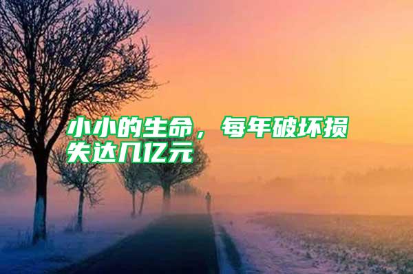 小小的生命，每年破壞損失達幾億元