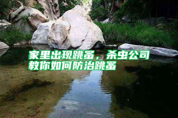 家里出現(xiàn)跳蚤，殺蟲公司教你如何防治跳蚤