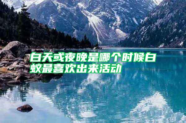 白天或夜晚是哪個(gè)時(shí)候白蟻?zhàn)钕矚g出來活動(dòng)