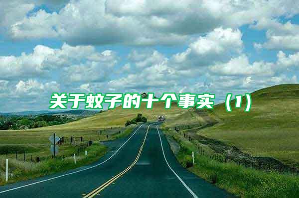 關(guān)于蚊子的十個事實（1）
