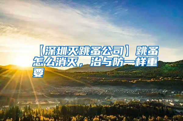 【深圳滅跳蚤公司】跳蚤怎么消滅，治與防一樣重要