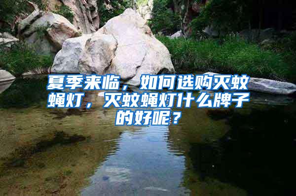 夏季來臨，如何選購滅蚊蠅燈，滅蚊蠅燈什么牌子的好呢？