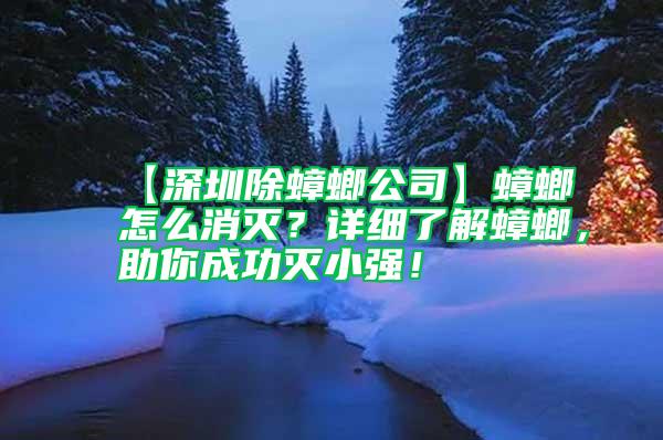【深圳除蟑螂公司】蟑螂怎么消滅？詳細了解蟑螂，助你成功滅小強！