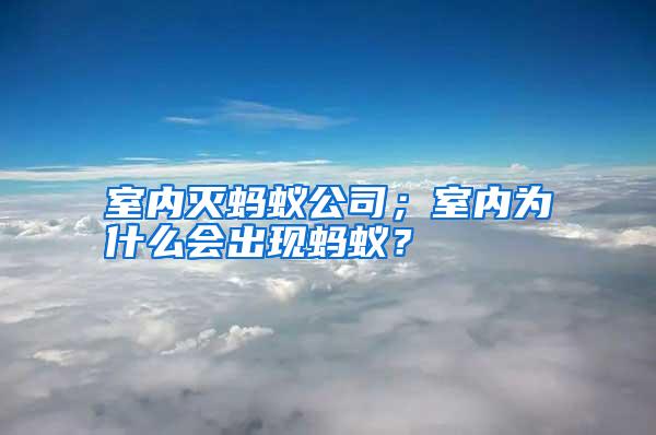 室內(nèi)滅螞蟻公司；室內(nèi)為什么會(huì)出現(xiàn)螞蟻？