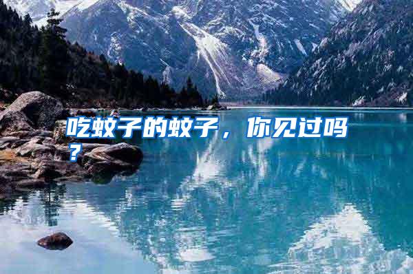 吃蚊子的蚊子，你見過嗎？