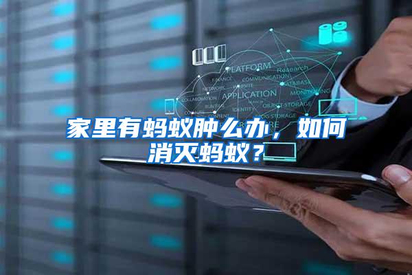 家里有螞蟻腫么辦，如何消滅螞蟻？