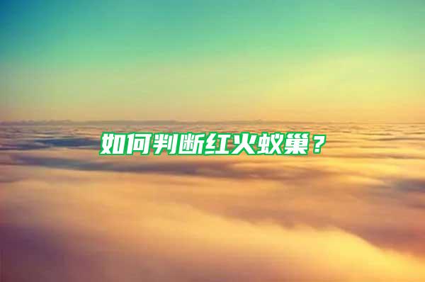 如何判斷紅火蟻巢？