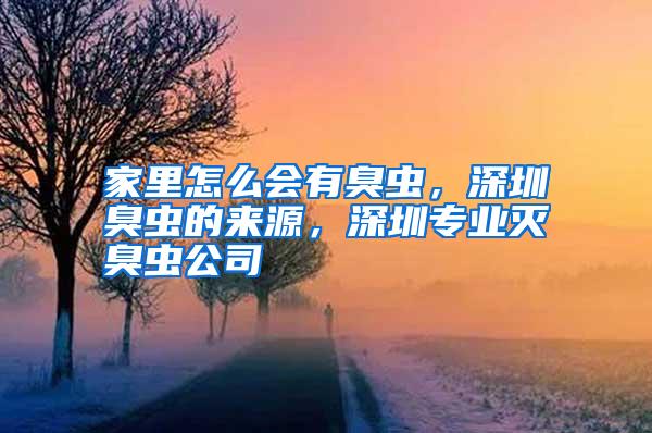 家里怎么會有臭蟲，深圳臭蟲的來源，深圳專業(yè)滅臭蟲公司