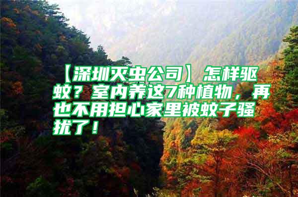 【深圳滅蟲公司】怎樣驅(qū)蚊？室內(nèi)養(yǎng)這7種植物，再也不用擔(dān)心家里被蚊子騷擾了！