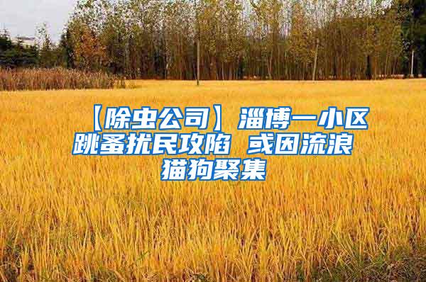 【除蟲(chóng)公司】淄博一小區(qū)跳蚤擾民攻陷 或因流浪貓狗聚集