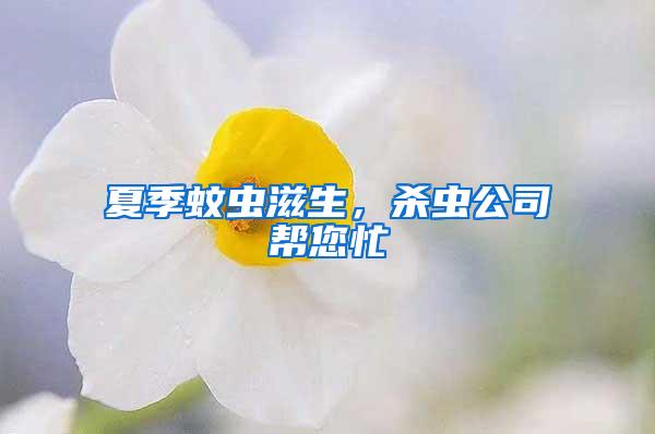 夏季蚊蟲滋生，殺蟲公司幫您忙