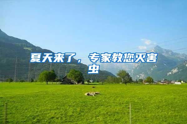 夏天來了，專家教您滅害蟲