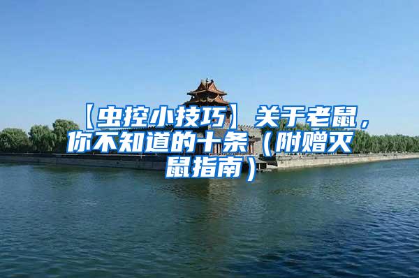 【蟲控小技巧】關(guān)于老鼠，你不知道的十條（附贈滅鼠指南）