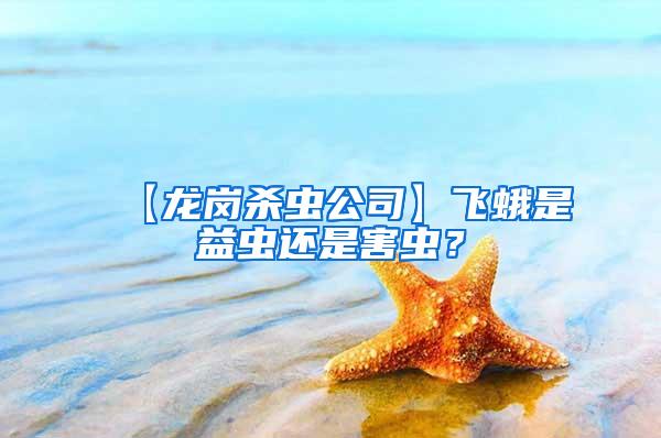 【龍崗殺蟲(chóng)公司】飛蛾是益蟲(chóng)還是害蟲(chóng)？