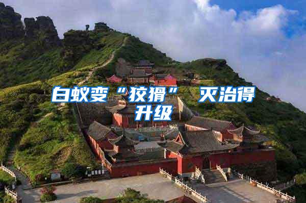 白蟻?zhàn)儭敖苹?滅治得升級(jí)