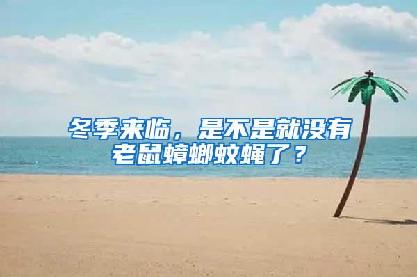 冬季來臨，是不是就沒有老鼠蟑螂蚊蠅了？