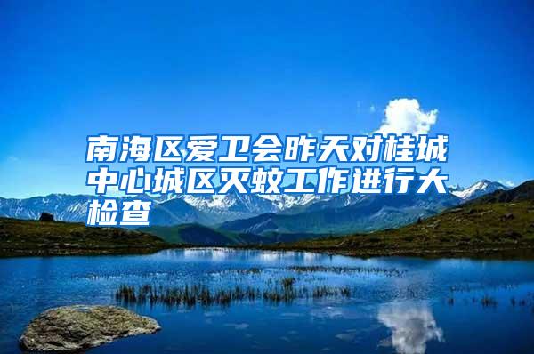南海區(qū)愛(ài)衛(wèi)會(huì)昨天對(duì)桂城中心城區(qū)滅蚊工作進(jìn)行大檢查