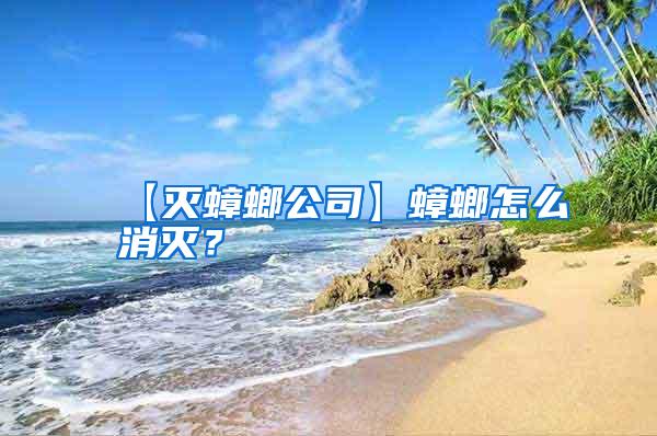 【滅蟑螂公司】蟑螂怎么消滅？