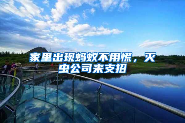 家里出現(xiàn)螞蟻不用慌，滅蟲(chóng)公司來(lái)支招
