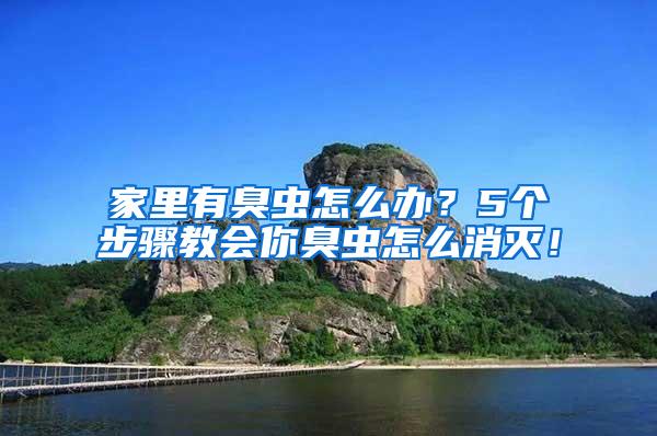 家里有臭蟲怎么辦？5個步驟教會你臭蟲怎么消滅！
