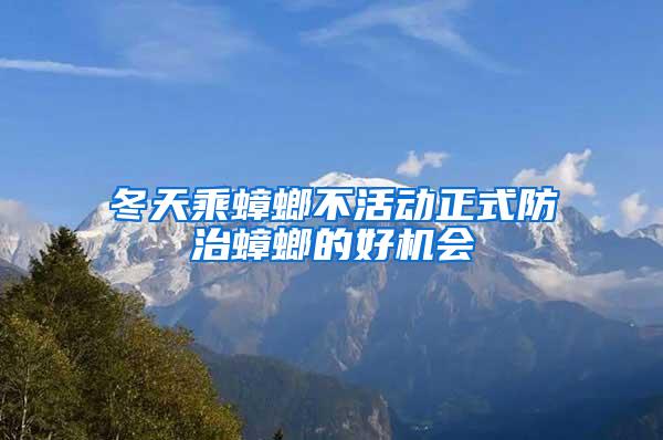冬天乘蟑螂不活動正式防治蟑螂的好機(jī)會