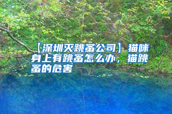 【深圳滅跳蚤公司】貓咪身上有跳蚤怎么辦，貓?zhí)榈奈：?/></p>
             <p style=