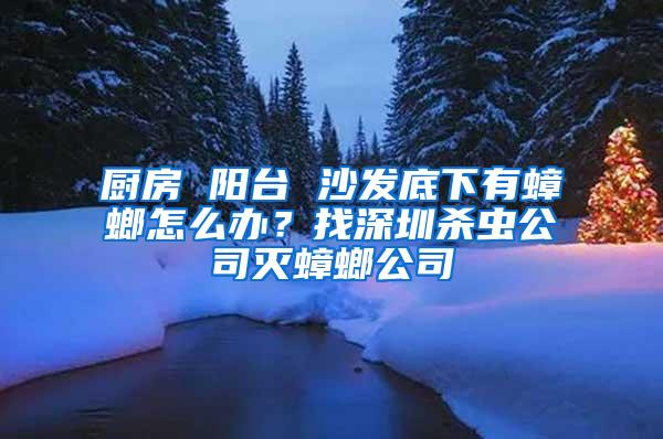 廚房 陽(yáng)臺(tái) 沙發(fā)底下有蟑螂怎么辦？找深圳殺蟲(chóng)公司滅蟑螂公司