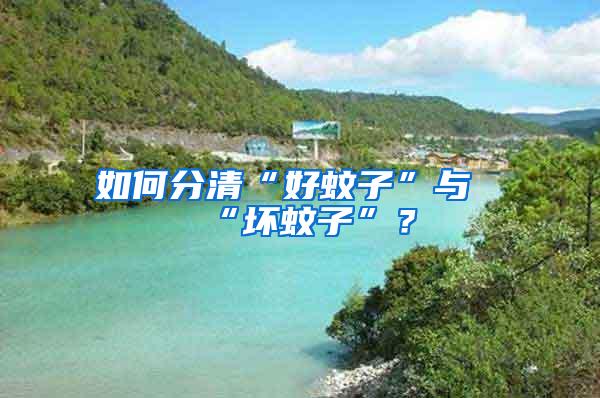 如何分清“好蚊子”與“壞蚊子”？