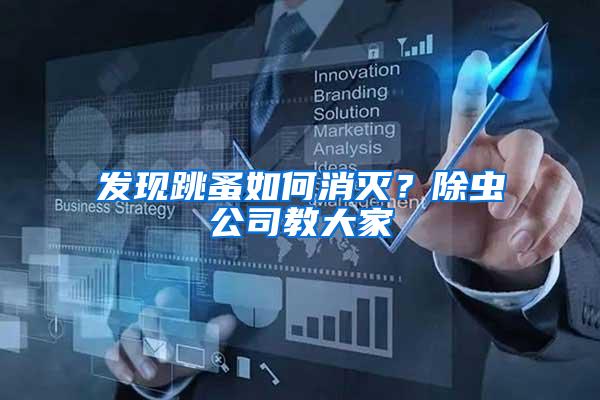 發現跳蚤如何消滅？除蟲公司教大家