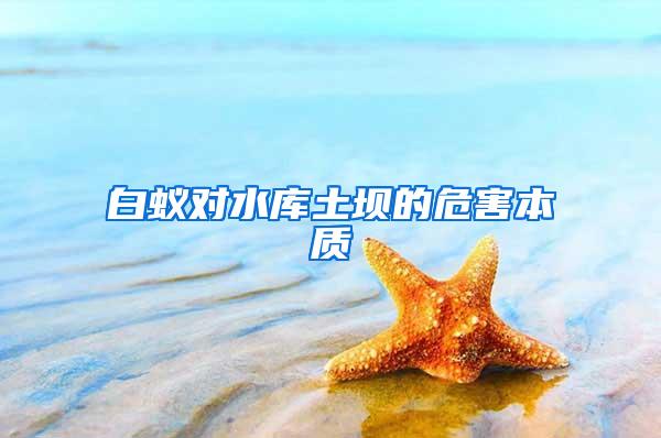 白蟻對(duì)水庫(kù)土壩的危害本質(zhì)