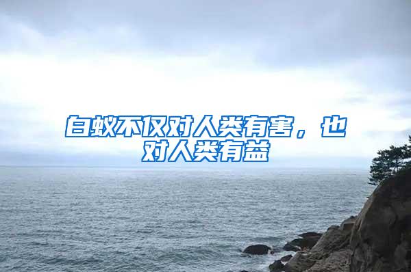 白蟻不僅對(duì)人類(lèi)有害，也對(duì)人類(lèi)有益