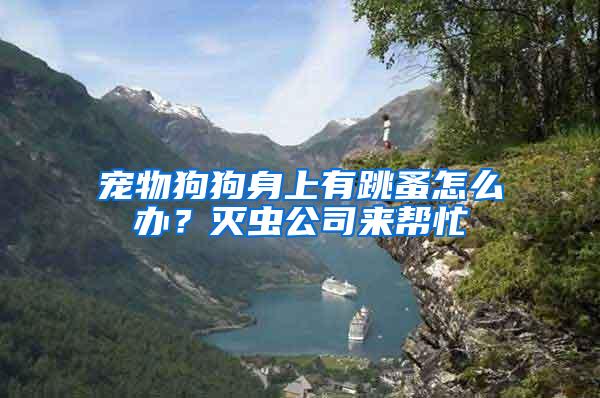 寵物狗狗身上有跳蚤怎么辦？滅蟲(chóng)公司來(lái)幫忙