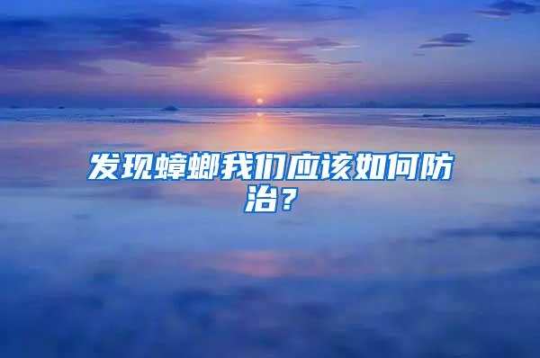發現蟑螂我們應該如何防治？