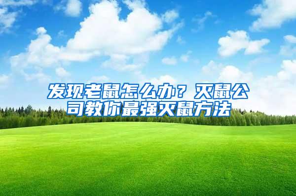 發(fā)現(xiàn)老鼠怎么辦？滅鼠公司教你最強(qiáng)滅鼠方法