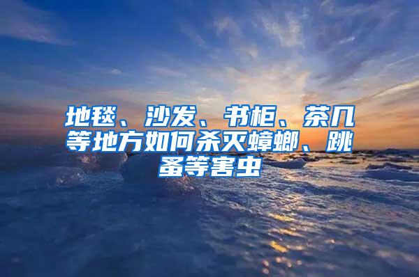 地毯、沙發、書柜、茶幾等地方如何殺滅蟑螂、跳蚤等害蟲