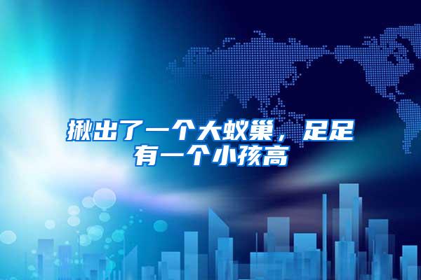 揪出了一個(gè)大蟻巢，足足有一個(gè)小孩高