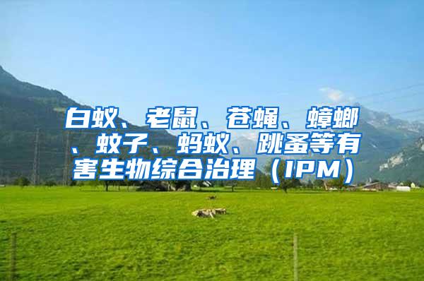 白蟻、老鼠、蒼蠅、蟑螂、蚊子、螞蟻、跳蚤等有害生物綜合治理（IPM）
