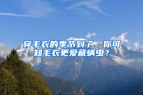 穿毛衣的季節到了，你可知毛衣更愛藏螨蟲？