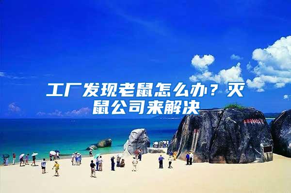 工廠發現老鼠怎么辦？滅鼠公司來解決