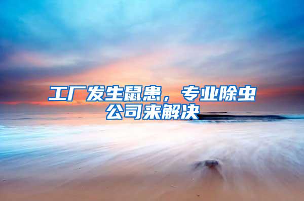 工廠發生鼠患，專業除蟲公司來解決