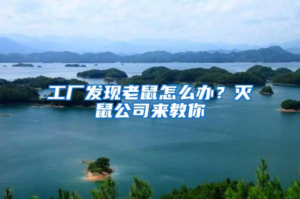 工廠發現老鼠怎么辦？滅鼠公司來教你