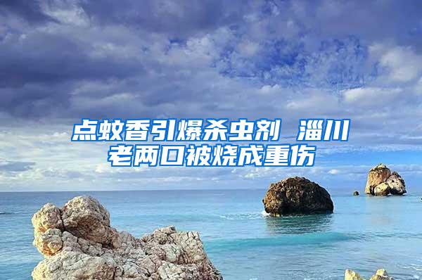 點(diǎn)蚊香引爆殺蟲劑 淄川老兩口被燒成重傷